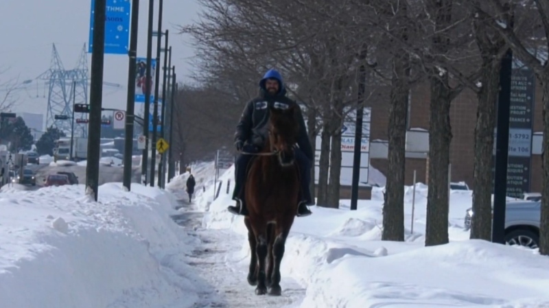 'Cowboy de Ville' bringing smiles to Quebec town on horseback
