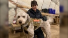 Veterans Elite Canines founder and Gulf War veteran, Cindy Weir is seen on Feb. 6, 2023. She and her partner and Ontario K9 owner Ryan Isley seek to pair veterans with service dogs. (Chris Campbell/CTV News Windsor)