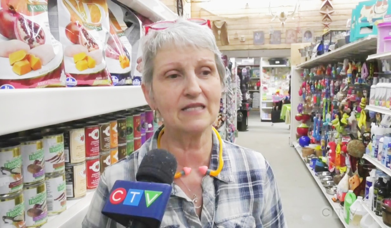 The owner of a local pet supply store, Claudette Laporte, said she would like to retire in the near future but doesn’t have anyone to take over her store. Selling the business is her only option. (Photo from video)