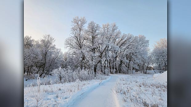 Beautiful winter. Photo by Bob Armstrong. 