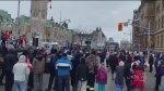 Ottawa Auditor critical of convoy response