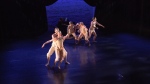 Contemporary dancers prepare new show