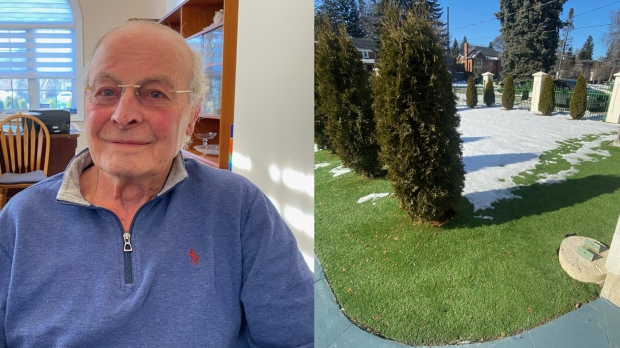 An image of Frank Leone, and the artificial turf that he used for his front lawn. (CTV News Toronto)
