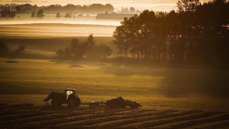 A farm tractor and baler sit in a hay field on a misty morning near Cremona, Alta., Tuesday, Aug. 30, 2016. Carbon capture and storage is a technology that captures greenhouse gas emissions from industrial sources and stores them deep in the ground to prevent them from being released into the atmosphere. (THE CANADIAN PRESS/Jeff McIntosh)