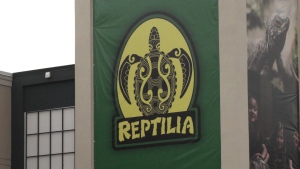  The Reptilia sign at Westmount Commons on Wonderland Road South in London, Ont. (Bryan Bicknell/CTV News Windsor)