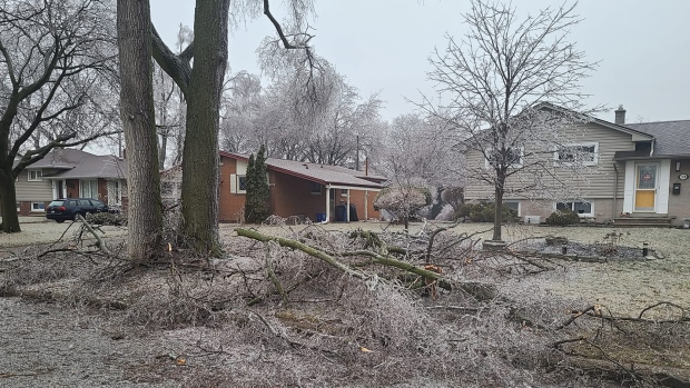  A blanket of ice covered almost everything in sight after an ice storm in Windsor-Essex. (Submitted to CTV News Windsor)