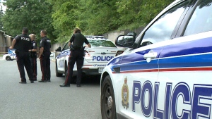 File photo of Ottawa police officers and vehicles. (CTV News Ottawa)