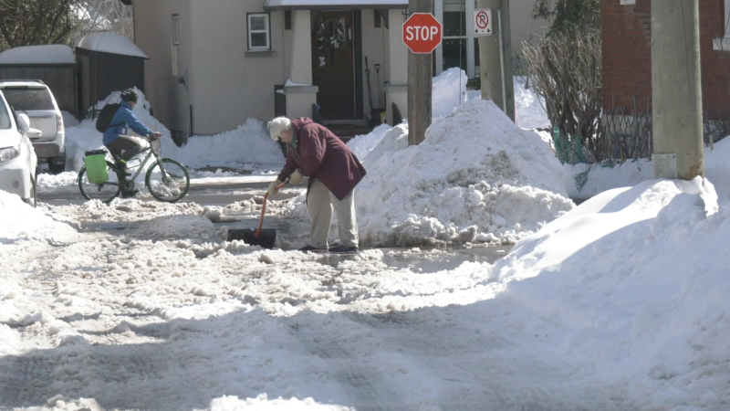 Ottawa city crews say it could take days to remove all of the snow that fell in last weekend's storm. Residents who were out shovelling Monday say they're running out of places to put all the snow. (Jackie Perez/CTV News Ottawa)