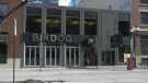 The exterior of Birdog in downtown Edmonton (CTV News Edmonton/Marek Tkach).