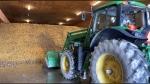 A photo from Swenson Farms shows a tractor loading up potatoes grown on leased lands. 