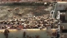 Bees are pictured in North Oyster, Vancouver Island. (CTV News)