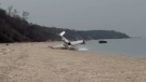 Video footage shows a plane making a rough landing on Long Island beach in New York, following an engine malfunction on March 17.