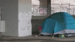 Homeless encampment fights planned eviction