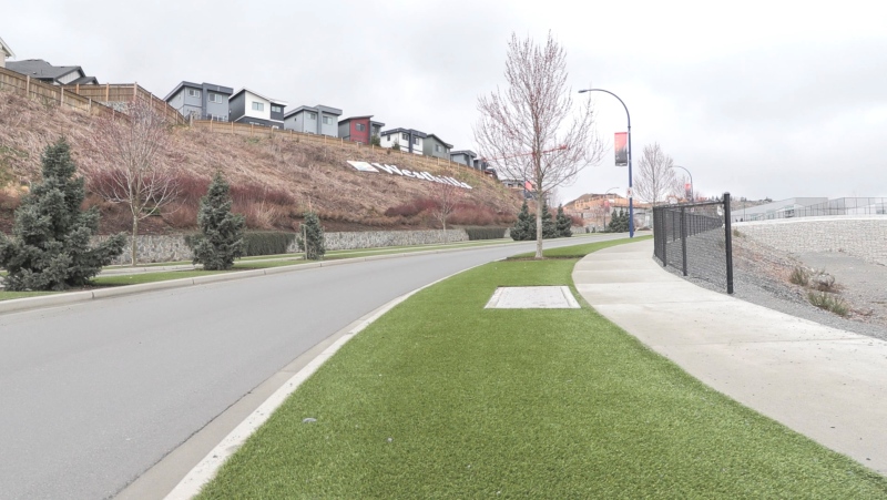 Artificial turf is pictured along Constellation Avenue in Langford, B.C. (CTV News)