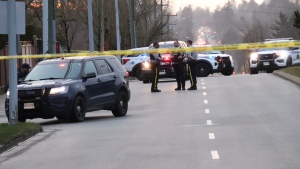 Surrey RCMP respond to the scene where a pedestrian was struck by a vehicle that drove onto the sidewalk on Monday, March 20. Mounties say the victim was taken to hospital with minor injuries, the driver has been arrested, and an investigation is underway. (Credit: Shane MacKichan)