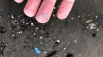 This Jan. 19, 2020, photo shows microplastic debris that has washed up at Depoe Bay, Ore. (AP Photo/Andrew Selsky)