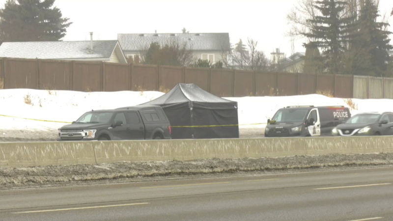 Police erected a black tent over a body on Whitemud Drive on March 21, 2023. 