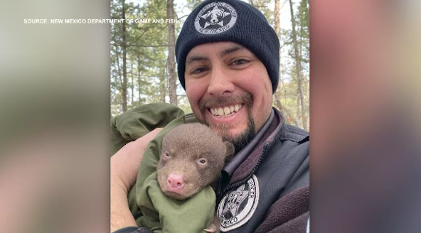 New Mexico conservation officer holds a baby bear