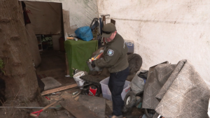 A park ranger removes materials  from an encampment set up in Vanier Park. On March 21, 2023, people camping there illegally were given notice to leave. (CTV). 