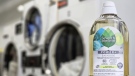 A bottle of Seventh Generation ultra concentrated laundry detergents sits on a table at a full service laundromat in Silver Lake area of Los Angeles on Wednesday, March 15, 2023. (AP Photo/Damian Dovarganes)