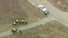 An aerial view of the search effort from earlier on Wednesday, Jan. 27, 2010.