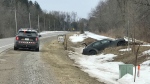 A black car is seen in the ditch near the corner of Wellington Road 18 and Fourth Line in Centre Wellington on March 22, 2023. (Dan Lauckner/CTV Kitchener)