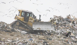 In response to a mandate from the province, the City of Sault Ste. Marie is preparing to implement organic waste collection by a 2025 deadline. (Mike McDonald/CTV News)
