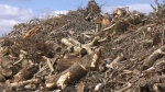 The Cape Breton Regional Municipality is trying to figure out what to do with piles of wood waste sitting in its landfill from the thousands of downed trees left behind from Fiona.