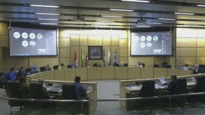 City votes on social impact board