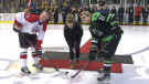 Ashley Ryan, wife of fallen EPS officer Brett Ryan, drops the puck at a charity game for mental health in Spruce Grove, Alta., on March 22, 2023. (CTV News Edmonton)