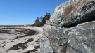 A portion of the rock wall built at Little Crescent Beach is pictured. (Heidi Petracek/CTV Atlantic)