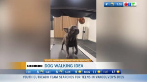 Morning Smile: Dog Walking Idea