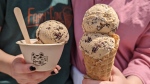 Moo Shu Ice Cream's flavour 'Friend-chip Goals,' which U.S. President Joe Biden and Prime Minister Justin Trudeau shared Thursday night in Ottawa. (Moo Shu Ice Cream)