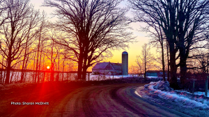 Sunrise in the east end. (Sharon McDivitt/CTV Viewer)