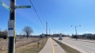 The corner of University Avenue East and Millennium Boulevard in Waterloo is seen on March 26, 2023, the day after a single-vehicle collision in the area. (Karis Mapp/CTV Kitchener)