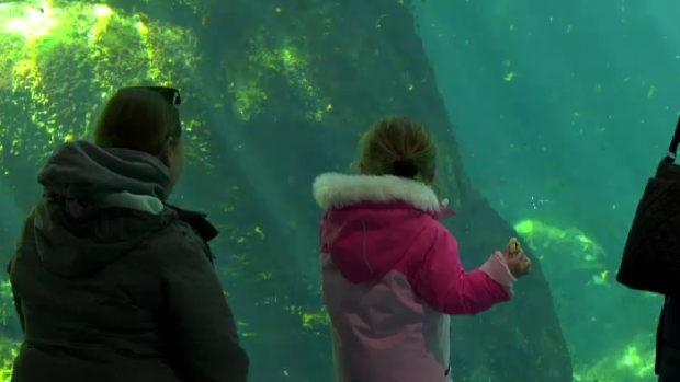 The museum has water-based science demos, a planetarium show about water conservation and many more H20-centered activities. (source: Mason DePatie, CTV News)