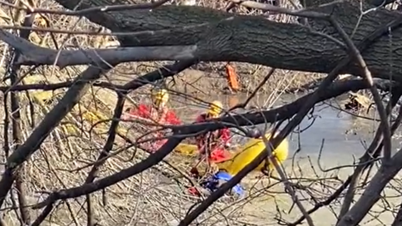 A still image taken from a video shared to social media by London fire, shows one person being pulled from the water on March 27, 2023. (Source: London fire/Twitter)