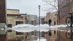 Students walk through Carleton University campus in Ottawa in this undated photo. (Noora Al-Juboori/Unsplash)