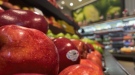 Grocery rebate in the federal government 2023 budget. March 27/23 (Eric Taschner/CTV Northern Ontario)