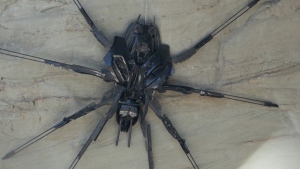 Campaign to save giant spider 