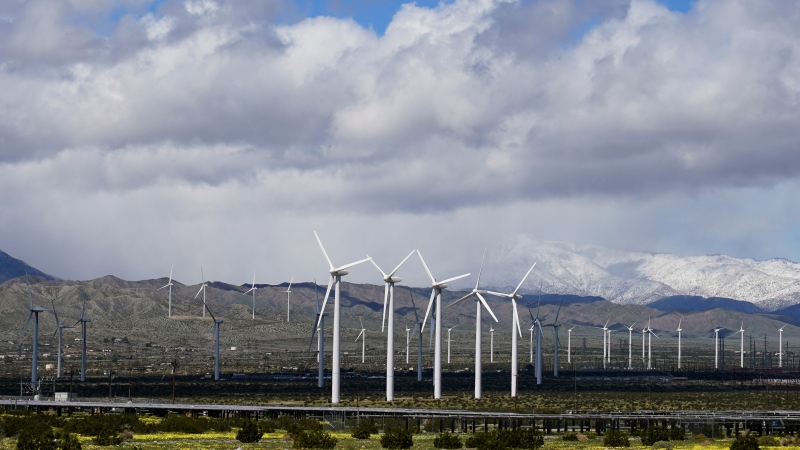 
FILE - Wind turbines stand in fields near Palm Springs, Calif, March 22, 2023. Electricity generated from renewables surpassed coal in the United States for the first time in 2022, the U.S. Energy Information Administration announced Monday, March 27, 2023. (AP Photo/Ashley Landis, File)