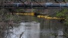Following a chemical spill, booms extend along the banks of Otter Creek in Bristol, Pa., Tuesday, March 28, 2023. Health officials in Bucks County, just north of Philadelphia, said Sunday that thousands of gallons of a water-based latex finishing solution spilled into the river late Friday due to a leak at the Trinseo Altuglas chemical facility in Bristol Township. (AP Photo/Matt Rourke)