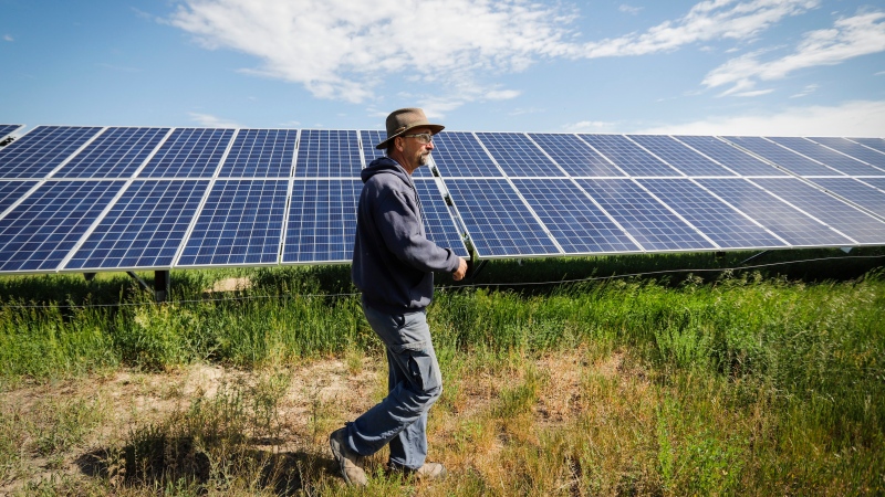 Farmer, Ron Lamb, installed solar panels to power his irrigation systems on the family farm near Claresholm, Alta., Tuesday, June 18, 2019.THE CANADIAN PRESS/Jeff McIntosh