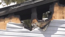 The aftermath of a fatal fire at a bungalow on Castlefrank Road in Kanata on Tuesday, March 28, 2023. (Leah Larocque/CTV News Ottawa)