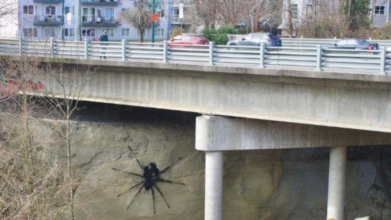 An artist named Junko is giving Vancouver commuters quite the shock with a new spider installment along the Millennium Line. (Instagram)