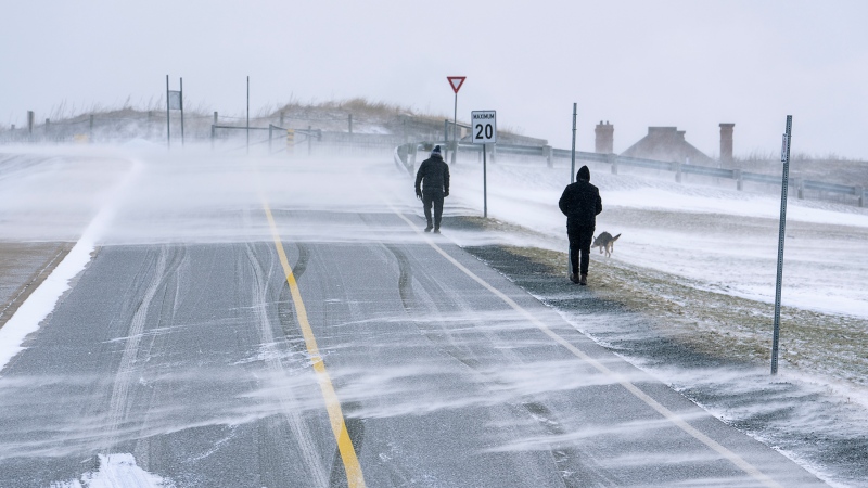 A couple and their dog battle snow and high winds on Citadel Hill in Halifax on Saturday, Jan. 15, 2022. THE CANADIAN PRESS/Andrew Vaughan