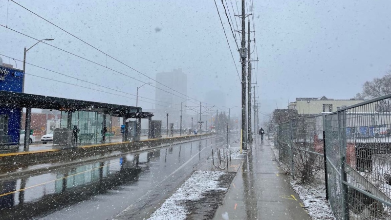 Heavy wet snowflakes fall on King Street in Kitchener on March 29, 2023. (Alison Sandstrom/CTV Kitchener)