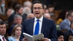 Conservative leader Pierre Poilievre reads from last year's budget as he rises during Question Period, Wednesday, March 29, 2023 in Ottawa. THE CANADIAN PRESS/Adrian Wyld