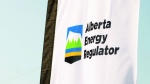 The Alberta Energy Regulator logo is seen on a flag at the opening of the regulator's office in Calgary in an undated handout photo.  (THE CANADIAN PRESS/HO-Alberta Energy Regulator)