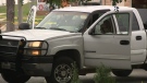 U.S. man tracks stolen truck, shoots thief